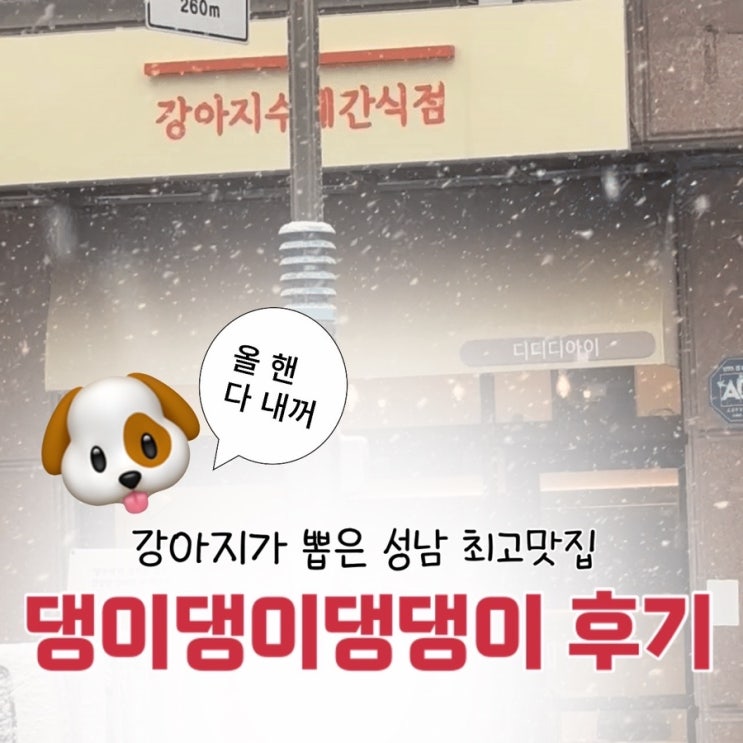  성남 도촌동 강아지 무인 수제간식 강아지케이크 | 댕이댕이댕댕이 내돈내산 후기