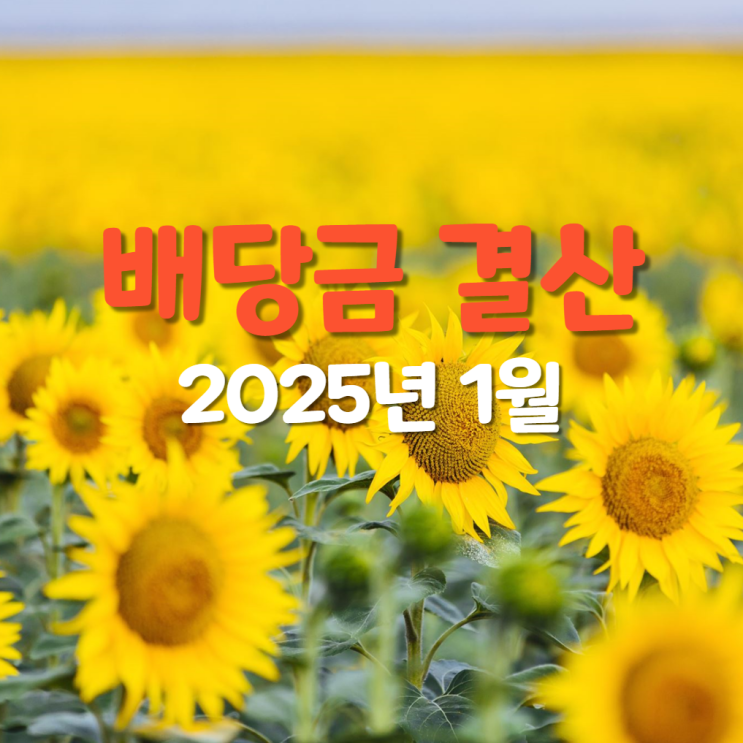  2025년 1월 배당금 결산