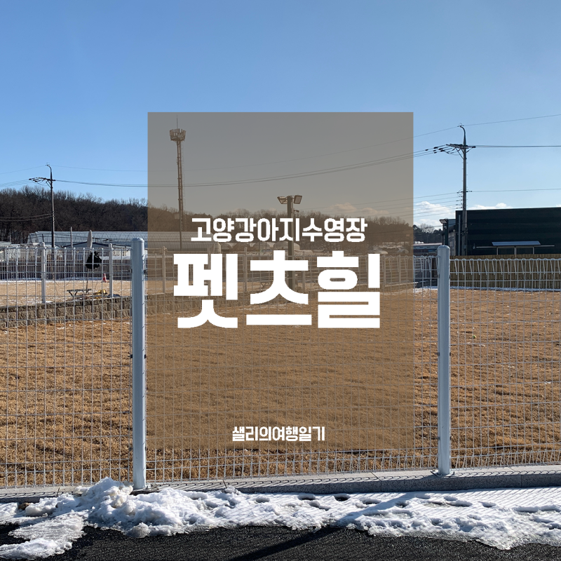 사진 2