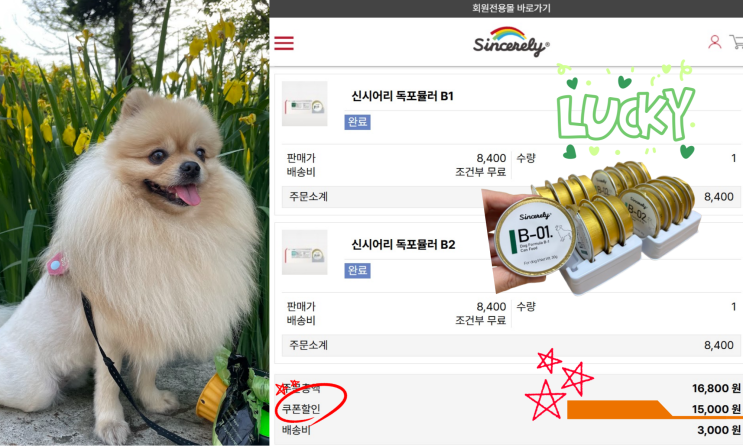  신시어리몰 강아지 습식 간식 배송비만 내고 산 방법
