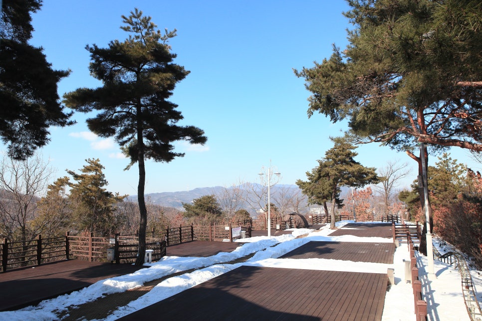 용인시청소년수련원 야영장 사진 3