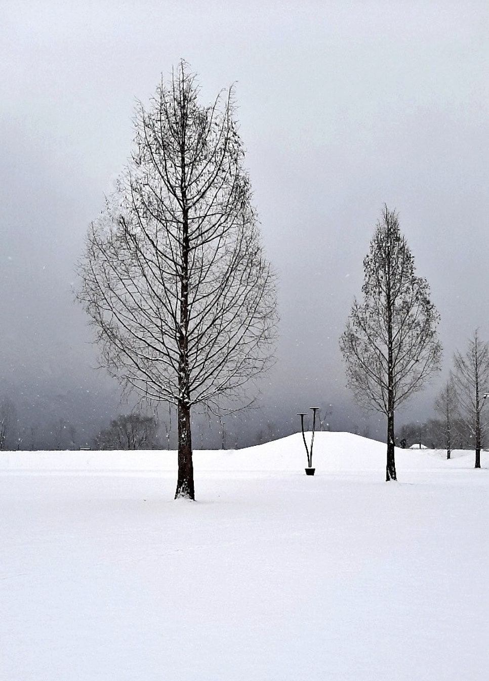 어우러지 사진 1