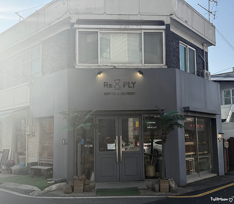 카페리플리 사진 1
