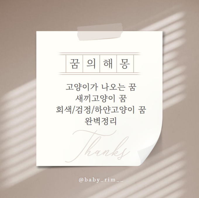 [고양이꿈 해몽 완벽정리] 고양이가 나오는 꿈, 집에 들어오는 꿈 새끼고양이 꿈, 고양이가 ....