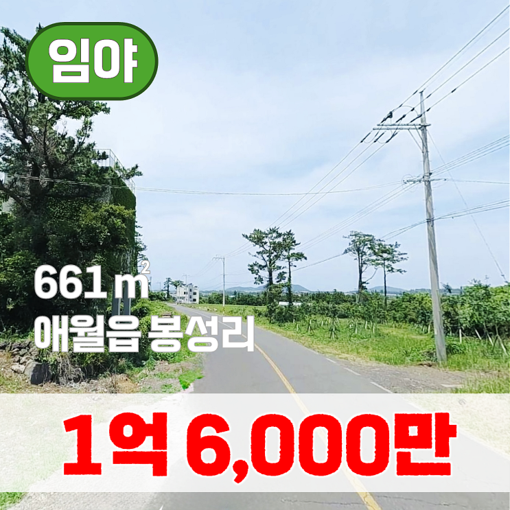  【매매】 애월농협 하나로마트 봉성점 인근 토지