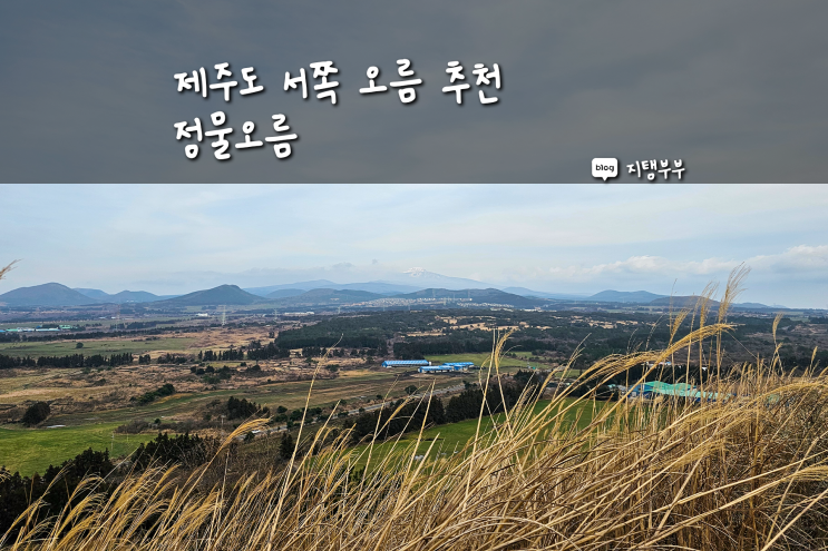  제주도 서쪽 한림 정물오름 올라가기 쉬운 제주도 오름 추천