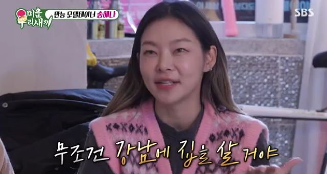 '38세' <b>송해나</b>, <b>재력</b> 남다르네... 후 집값 올랐다" (<b>미우새</b>)[종합]