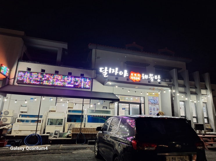  달마야해물탕 북촌: 제주도 출장에서 만난 해산물 천국