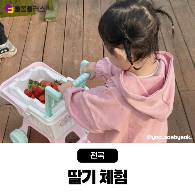  아이와 함께하는 특별한 농촌 체험 딸기 따기 체험 농장 베스트 5