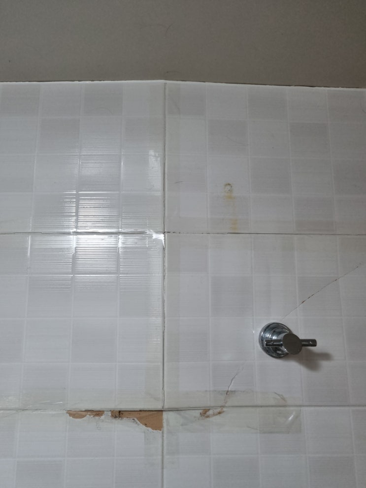  화장실 벽타일 문제 해결방법 들뜨고 벌어진 타일 수리