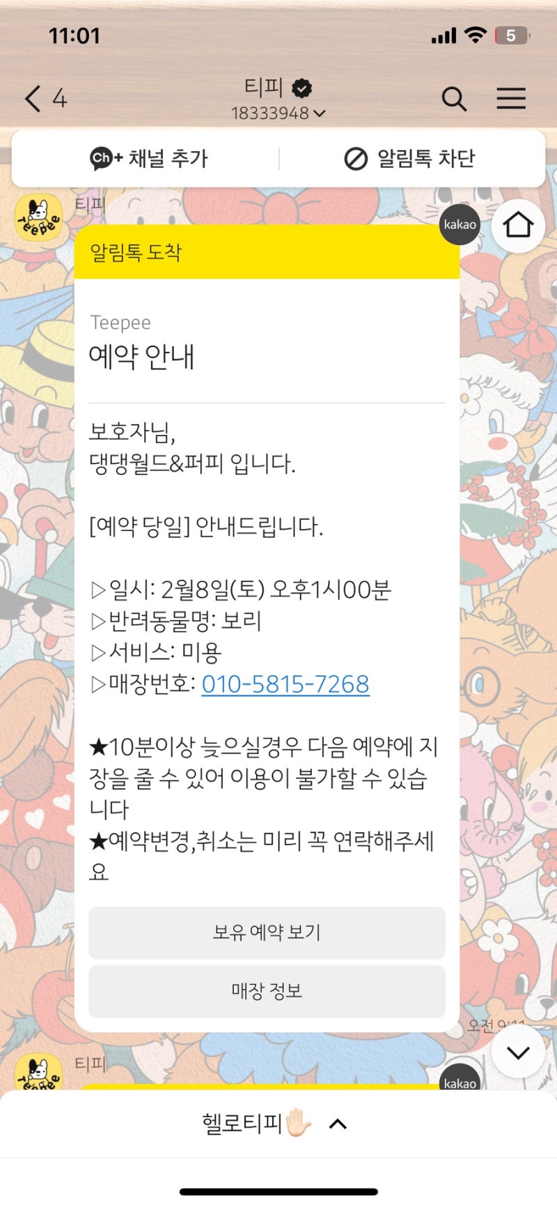 사진 9
