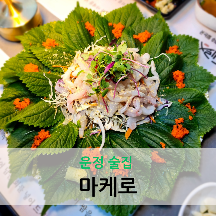  운정 술집 제철 해산물 요리를 즐길 수 있는 분위기 좋은 마케로