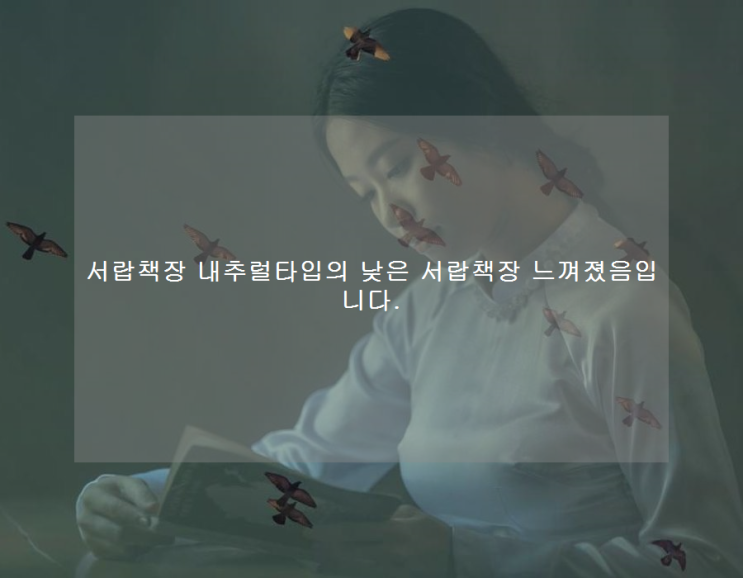  서랍책장 내추럴타입의 낮은 서랍책장 느껴졌음입니다.