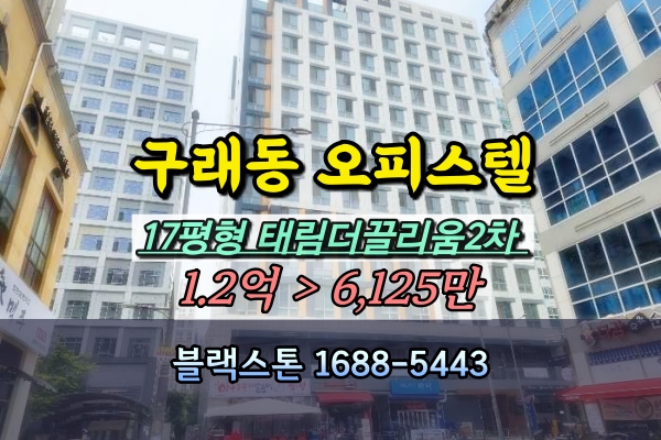  김포 구래동오피스텔 경매 태림더끌리움김포2차 17평