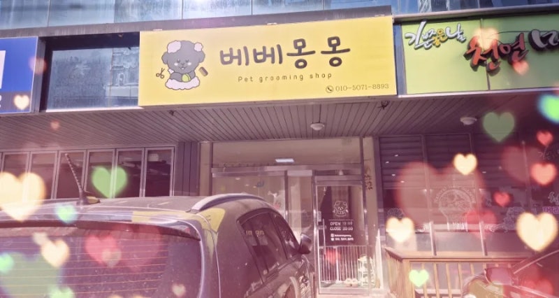 사진 2