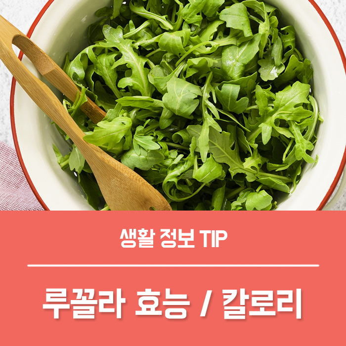  루꼴라효능 TOP4, 루꼴라 씨앗 키우기 총정리!