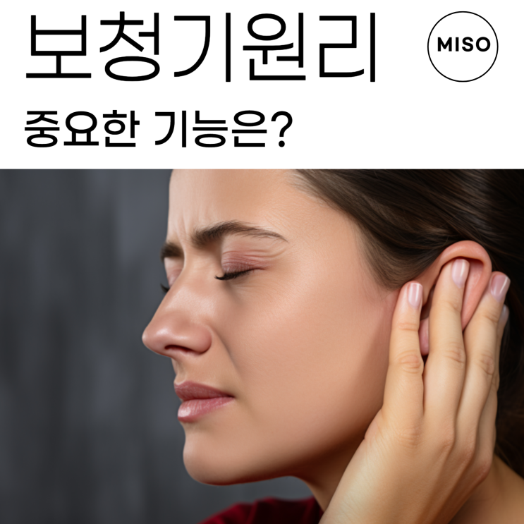  보청기 원리 어떤게 중요할까