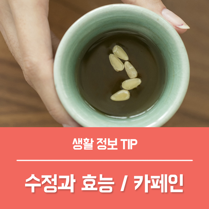  수정과 효능 TOP4, 수정과 카페인 부작용은?