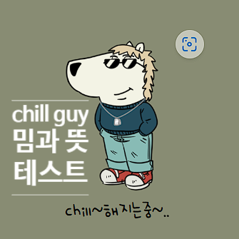  chill guy 칠가이 뜻과 밈, 테스트에 대해 알아보자