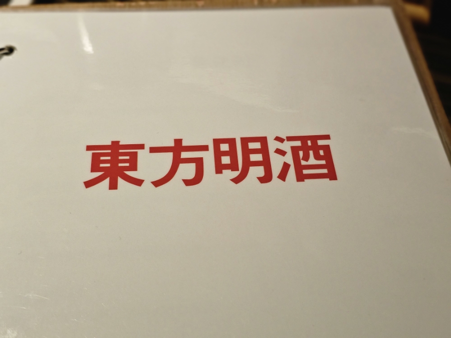 리플레이 사진 2