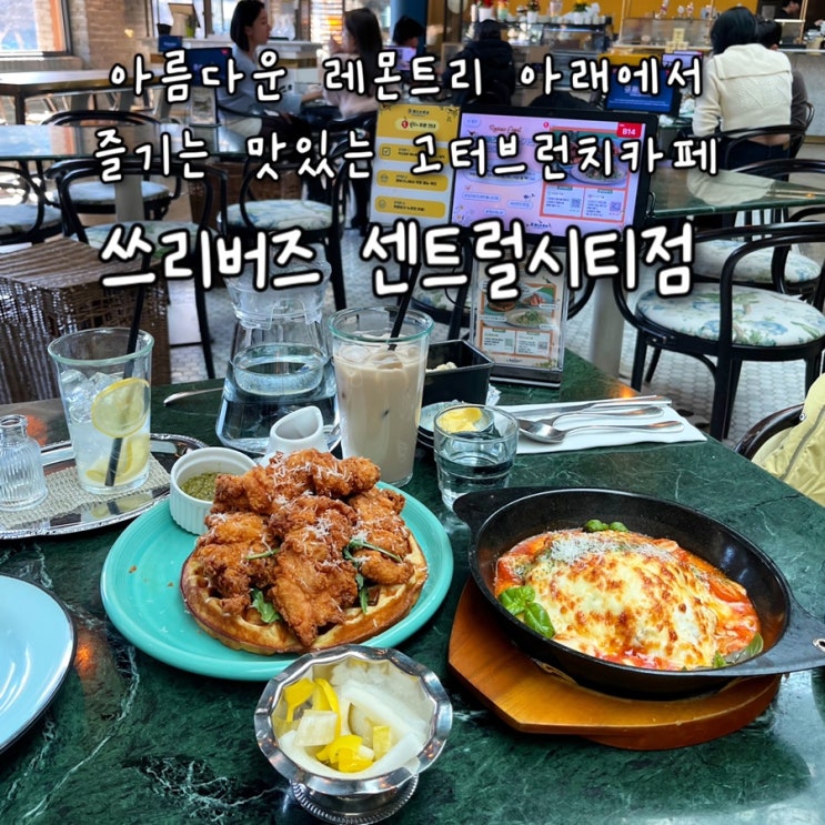  내돈내산 | 동화속 주인공처럼 레몬트리 아래에서 즐기는 맛있는 브런치 고속터미널맛집 “쓰리버즈 센트럴시티점”