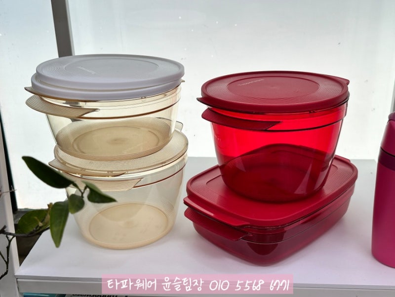 타파웨어 전자레인지 용기, 뭐가 달라요? 윤슬팀장이 안내해드릴게요~! (이지레인지, 스마트....