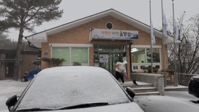 [충주] 계명산 자연휴양림 숲속의 집 무궁화 체크인