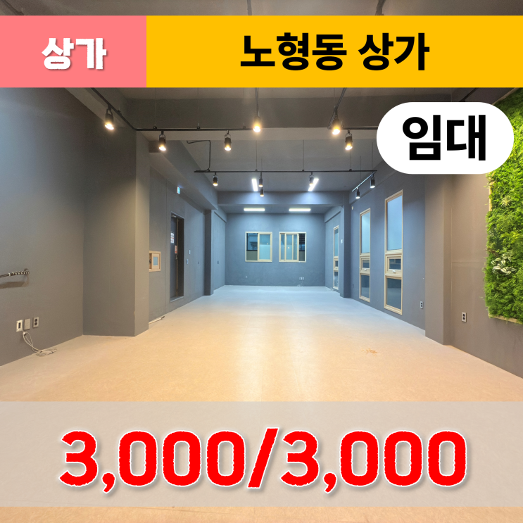  《제주도상가》 제주도 노형동 상가 임대