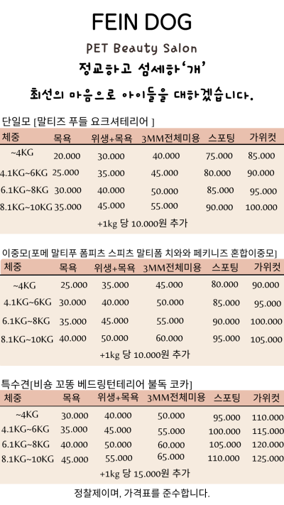 사진 9