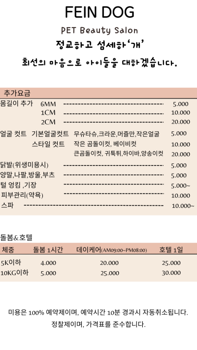 사진 10
