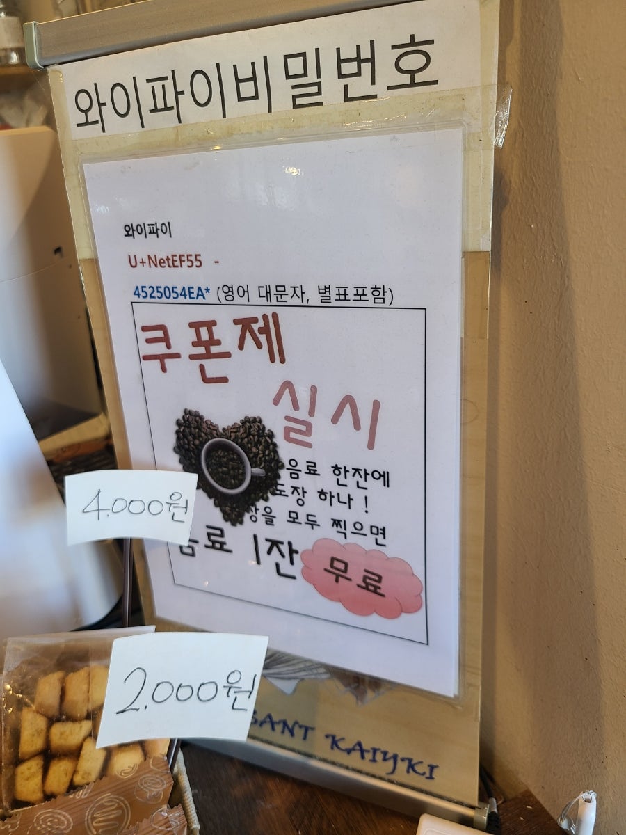 아셀 사진 5