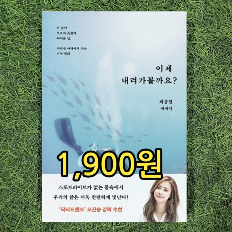  최송현 아나운서 에세이 이제 내려가 볼까요? 1,900원 닥터프렌즈 오진승 강력 추천 스쿠버 다이빙 강사, 연예인 영화 드라마 배우 나스카 지상화 중고책
