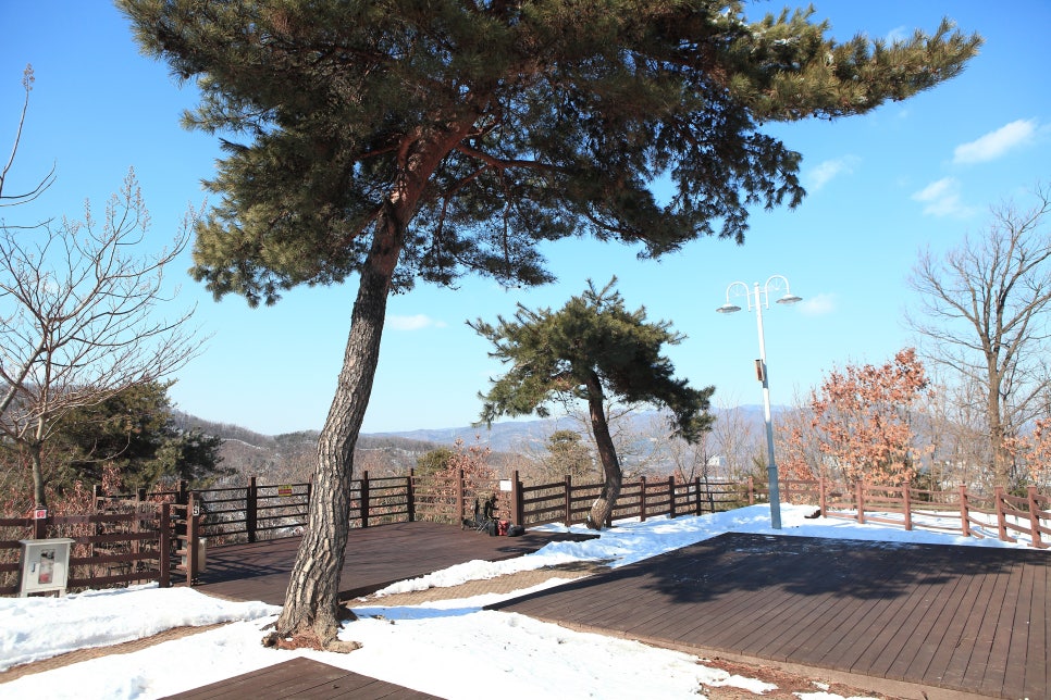 용인시청소년수련원 야영장 사진 2