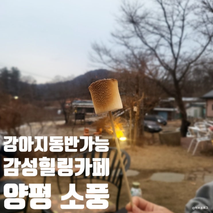  [양평] 애견동반가능 감성 힐링 서울 근교 카페 소풍 / 불멍, 피크닉