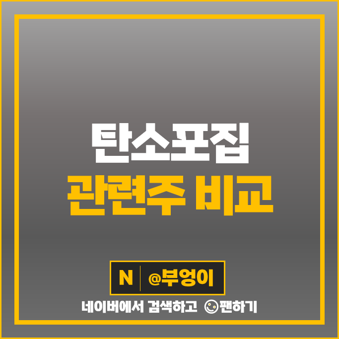 탄소 포집 관련주 휴켐스 미코 에코바이오 주가 제이씨케미칼 켐트로스 주식 탄소 포집 관련주 휴켐스 미코 에코바이오 주가 제이씨케미칼 켐트로스 주식