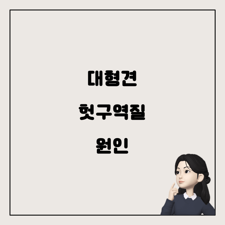  대형견 헛구역질과 흰색 토의 원인과 대학병원 방문 방법