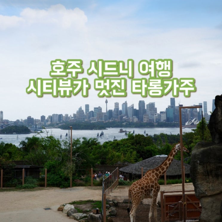  타롱가주 입장권 & 왕복 페리 | 타롱가주 쿼카 위치 | 시드니 동물원 추천