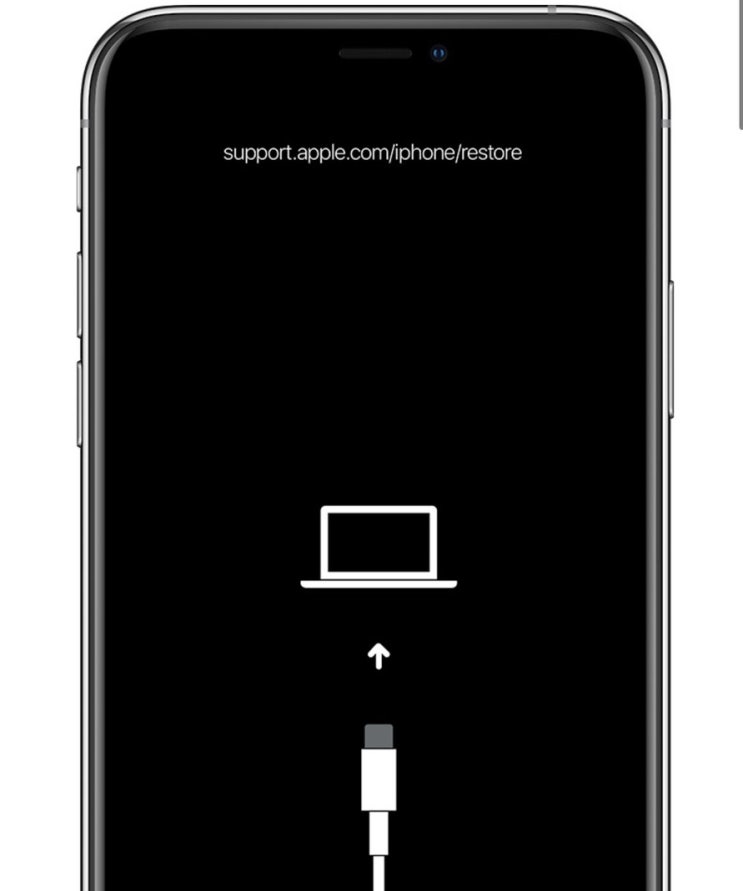  [Q&A] 아이패드 검은 화면에 ‘support.apple.com/ipad/restore’ 메시지가 뜰 때 해결 방법은?