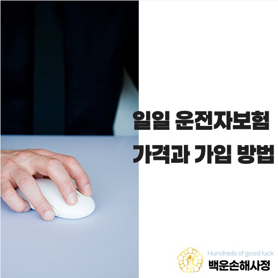  일일 운전자 보험 가격 및 가입 방법