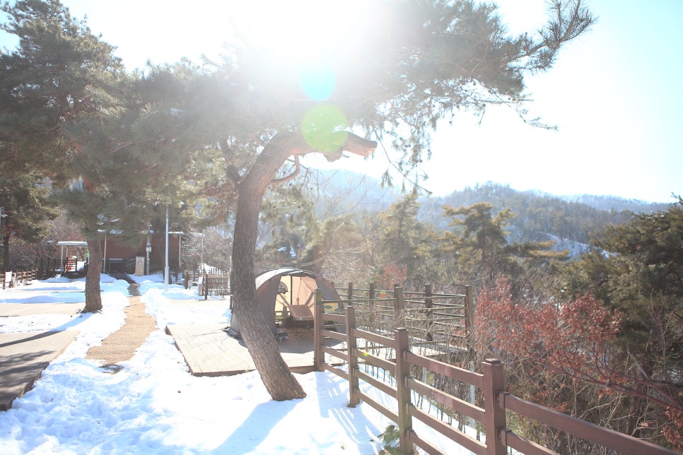 용인시청소년수련원 야영장 사진 5