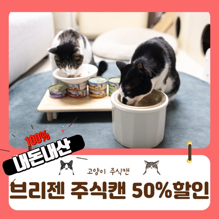  한고연몰 브리젠 고양이 주식캔 예약판매 50%할인