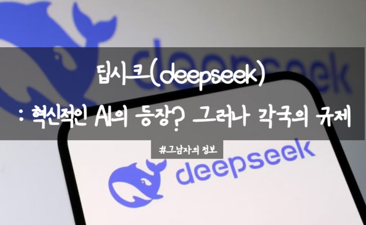  딥시크(DeepSeek): 혁신적인 AI 모델, 그러나 과도한 데이터 수집과 개인정보는??