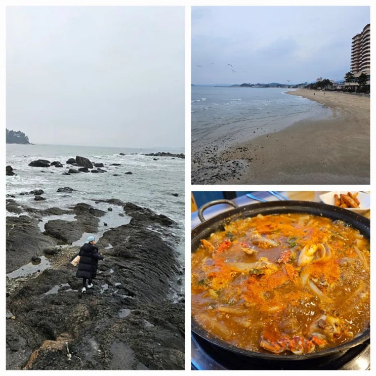  무창포해수욕장 맛집 무창포먹거리식당 가볼만한곳