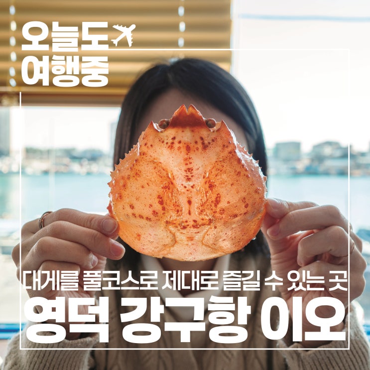 [영덕 강구항 맛집] 영덕대게 제대로 즐기는 법! 강구항 대게직판장 이오 방문 후기