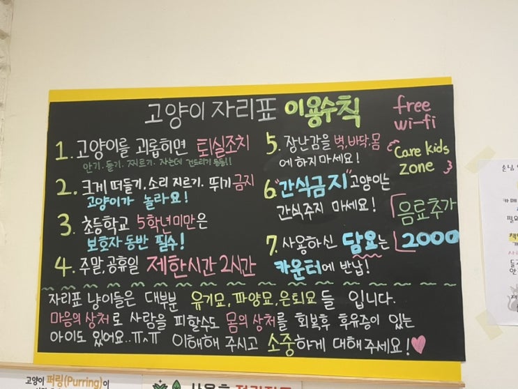  따뜻한 실내 데이트! 수원 영통 고양이카페 "고양이자리표"