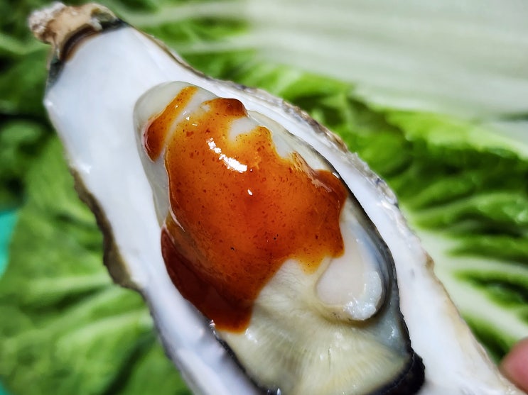 굴찜 시간 손질법 집에서 석화찜 만들기 노로바이러스 예방법 굴찜 시간 손질법 집에서 석화찜 만들기 노로바이러스 예방법