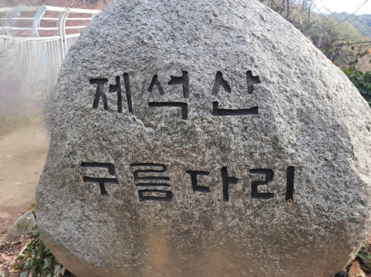 광주<b>제석산구름다리 추락사</b>