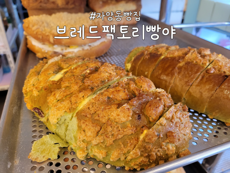 자양동 빵 맛집, 자양동베이커리 '브레드팩토리빵야' 후기