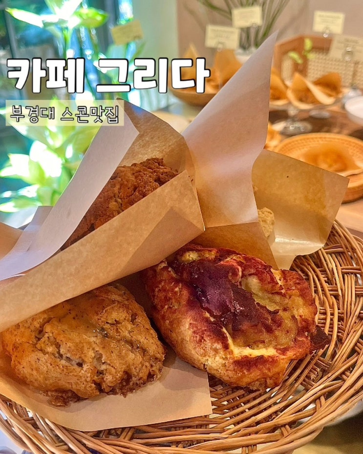  부산 부경대카페 카페그리다 분위기좋은 스콘 맛집