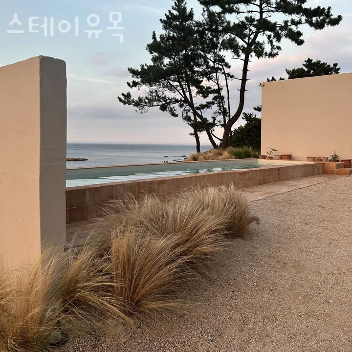  포항펜션 스테이유목, 감성적인 오션뷰 독채 펜션에서 힐링 여행